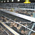 Poulet Poulet Cage pour la ferme de volaille